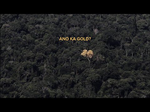 SPAZE - Ano Ka Gold? (Official Audio)