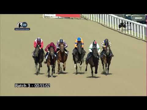 Irish EBF Barrier Trials 05 September 2023 - Batch 03