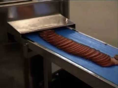 KSL Slicer for frozen Tuna loins etc.