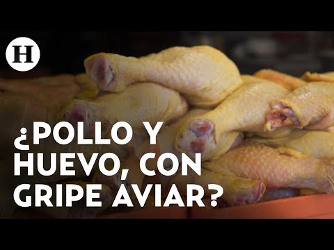 , title : 'Gripe aviar H5N1: ¿Comer pollo y huevo pueden contagiarme?'