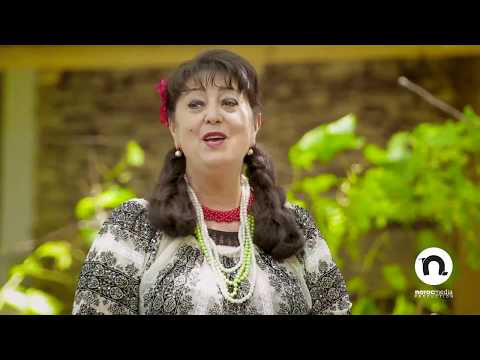 Anisoara Prisăcaru - Plaiul meu moldovenesc