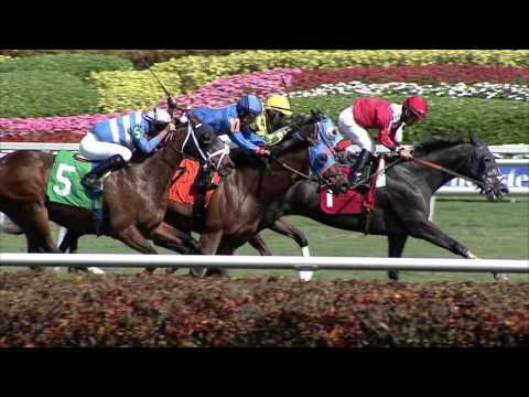 Gulfstream Park Replay Show | February 17, 2017
