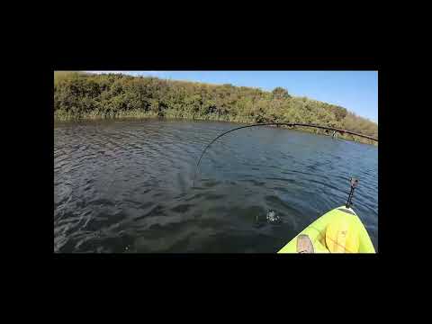 HUGE Fish Huge Fail Fishing ???