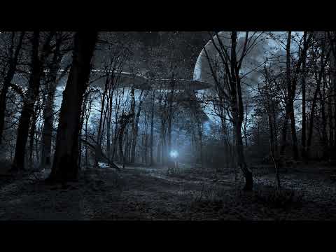 Shadym, KICKREY, Tximeleta - AcidGrowler (Original Mix)