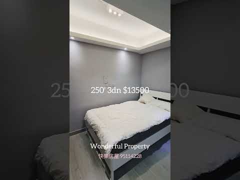 寶龍樓 Youtube Video