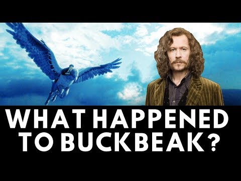 What Happened to Buckbeak After Sirius Black Died?
