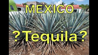 ¿Que es Tequila? Tres Mujeres Tequila Tour