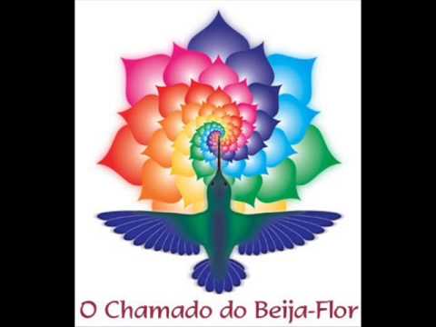 Plantando Flores - Ceu da Hoaska