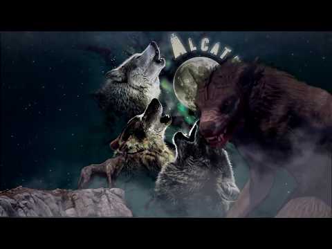 CYPHER - Alcateia Terrorista #1 - SCA - BOCA SECA - LEON - AMÁFIA - PIRA PURA - MANO FLER