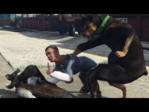 GTA 5 But Franklin And Chop Switched Roles