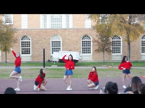Red Velvet 레드벨벳 "Red Flavor" (빨간 맛) (Cover)  | UNT KCE Fall Festival 2017