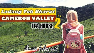 Walking view Ladang Teh Bharat I Cameron Valley  [Tea House 2]