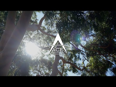Ace Body Corporate Management - Connected To Community