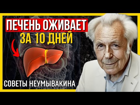 Печень оживает за 10 дней: реальные шаги по восстановлению печени от Неумывакина