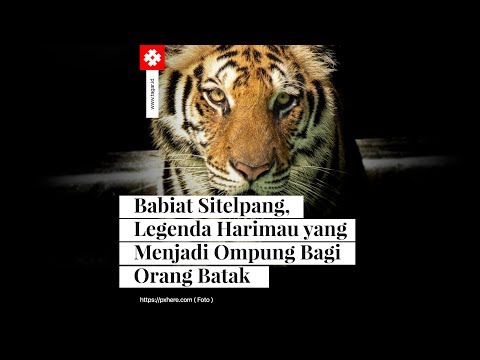 Babiat Sitelpang, Legenda Harimau yang Menjadi Ompung Bagi Orang Batak