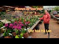 Flower Store In The Netherlands