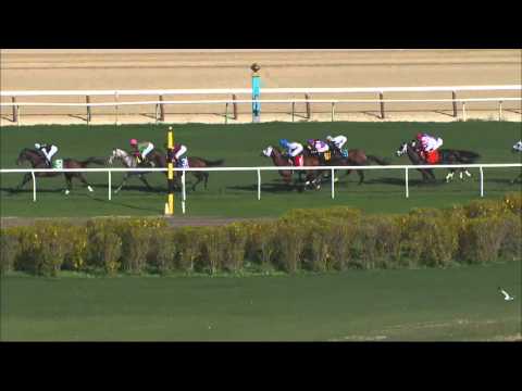 Highland Sky - 2016 Woodhaven Stakes