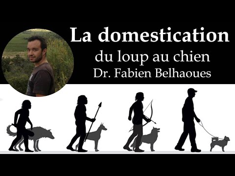 , title : 'La domestication: du loup au chien'