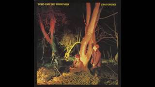 Stars are Stars by Echo & The Bunnymen