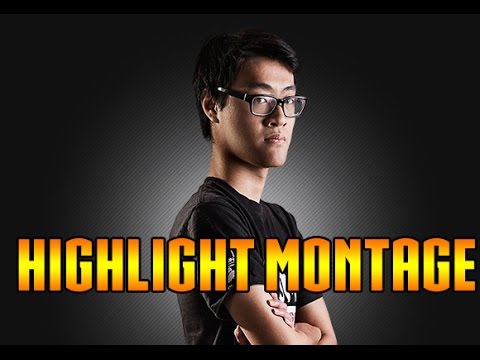 Wildturtle Highlight Montage
