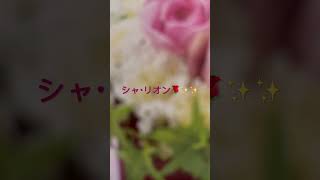 Download lagu シャ・リオン🌹✨✨ #piano #大島ミチル mp3