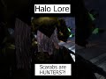 Scarabs Are HUNTERS?! - Halo Lore