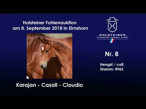 Holsteiner Fohlenauktion | Nr. 8 v. Karajan - Casall