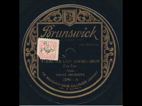 Where The Lazy Daisies Grow : Oriole Orchestra 1924