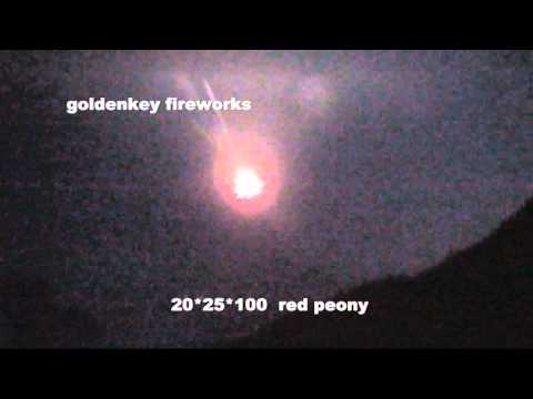 Single shot Red peony