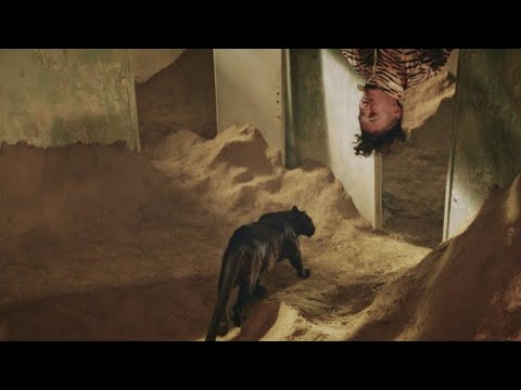 MOHA MMZ - Mode [Clip Officiel]