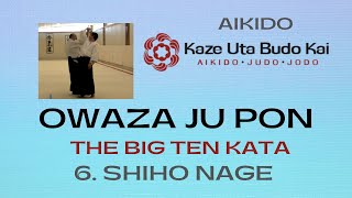 6. Shihonage