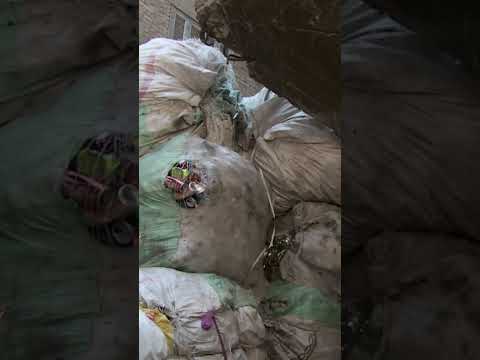Collecting Cairo's Garbage