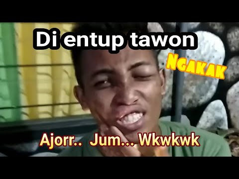 ngundoh-madu-mohon-jangan-tertawa-kalau-bisa