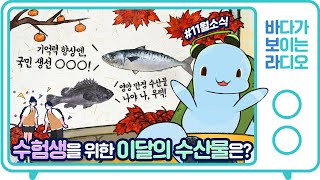 수험생의 기억력 향상에 좋은 이달의 수산물은? [바다가 보이는 라디오 11월호]