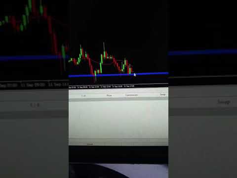 Luminor Investor | Luminor