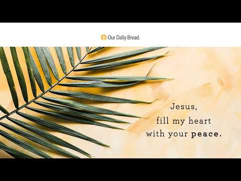 A King on a Donkey | Audio Reading | Our Daily Bread Devotional | April 10, 2022