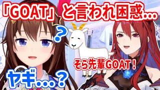 エリザベスから「GOAT」と言われ困惑するそらちゃん【ホロライブ切り抜き/ときのそら/エリザベス・ローズ・ブラッドフレイム】