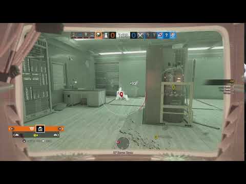 What 1000 Hours Of Maestro Looks Like