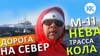Перспективы развития рыбной промышленности мурманской области
