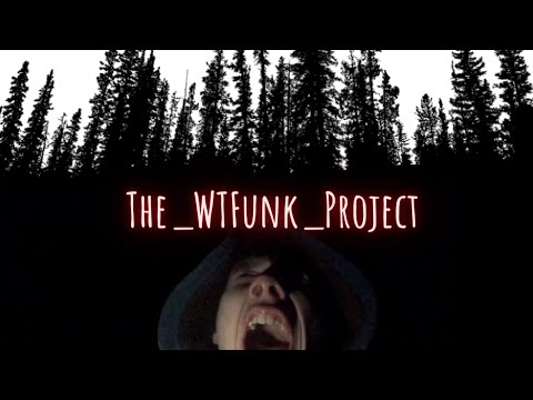 PHAENOTYP // WTFunk-Video.mp4