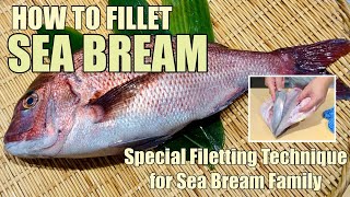 How to fillet Sea Bream @tokyosushiacademyenglishcourse
