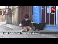 Tienen que tener casa: Niño se hace viral por entrevistar a perritos de la calle