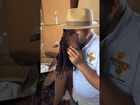 How a cigar is made in under 60 seconds #cigar #thestogielife