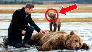CACHORRO DE OSO LLORANDO IMPLORÓ A ESTE HOMBRE SALVAR A SU MADRE. PERO LO QUE PASÓ DESPUÉS...