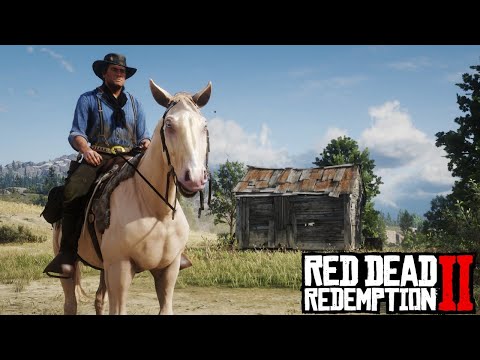 Arthur Morgan In New Austin! Hidden Encounters! Red Dead Redemption 2 Part 37