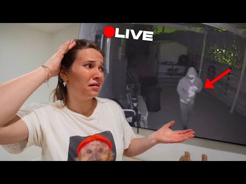 SOMEONE STOLE MY PARROTS FROM MY HOUSE!