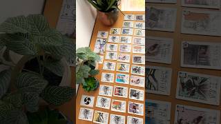 Unknown Channel - Naishi video thumbnail