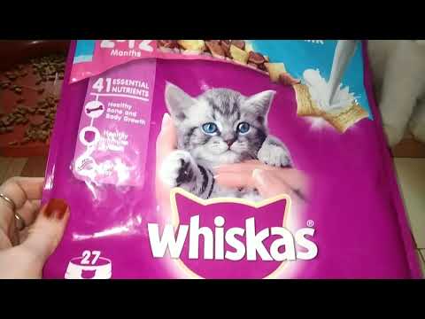 Whiskas kitten food review | Whiskas 2-12 months food |kitten food review(WHISKAS)