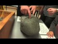 Fossils - Incredible Science 2009