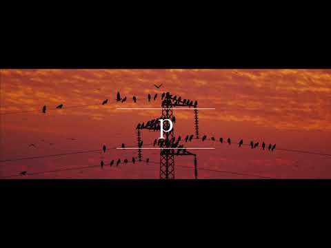 Jopez - p [Official Video]